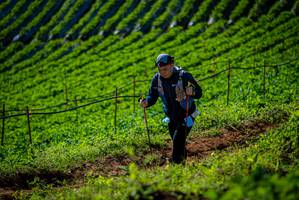 BIB: 
                            <button type="button" onclick="openModal(19161139)" class="btn btn-primary btn-sm float-right btn-popup" data-toggle="modal" data-target=".modal-high-quality">
                        <i class="fas fa-shopping-cart"></i> Add to Cart
                    </button>
                                            <button type="button" onclick="isThisMe(19161139, true)" class="btn btn-success btn-sm float-right btn-popup btn-isme hidden" data-toggle="tooltip" data-placement="bottom" title="นี่คือรูปของคุณใช่ไหม คลิกที่นี่เพื่อเอาเข้าอัลบั้ม">
                        <i class="fas fa-plus"></i> Add to album
                    </button>
                    <button type="button" onclick="isThisMe(19161139, false)" class="btn btn-warning btn-sm float-right btn-popup btn-isnotme hidden">
                        <i class="fas fa-ban"></i> Remove from album
                    </button>